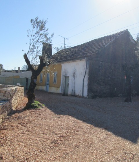 Casa Antiga com terreno 