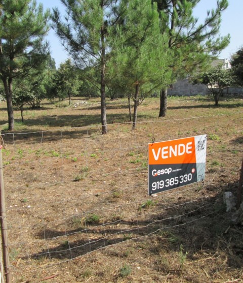 Terreno R�stico Perulheira