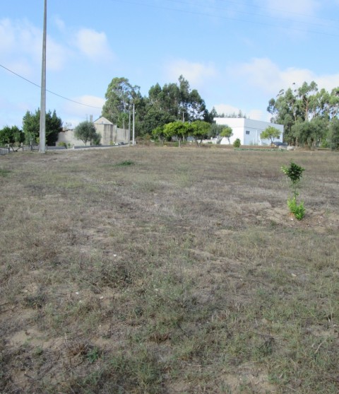 Lote Terreno