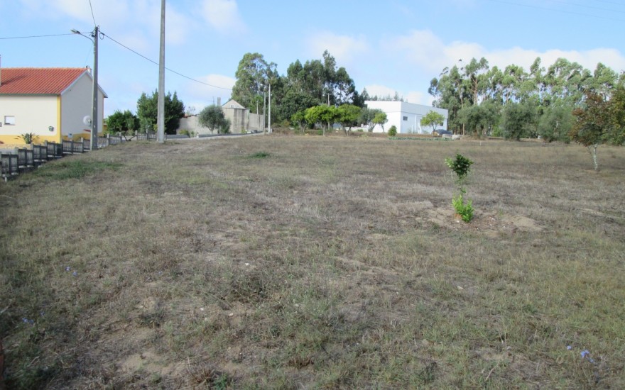 Lote Terreno